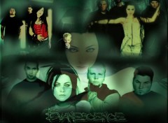 Fonds d'cran Musique Evanescence