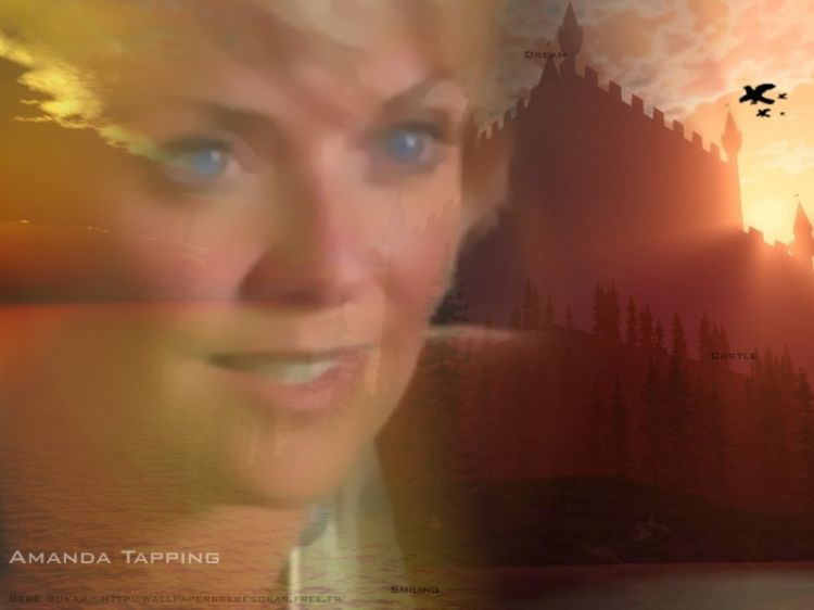 Fonds d'cran Clbrits Femme Amanda Tapping A castle of the dream...