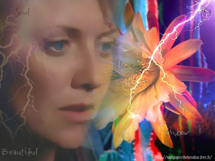 Fonds d'cran Clbrits Femme Amanda Tapping A beautiful flower