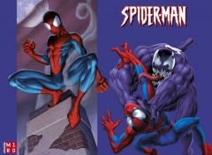 Fonds d'cran Comics et BDs SPIDEY VS VENOM