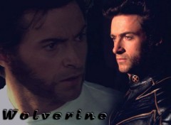 Wallpapers Movies Wolverine