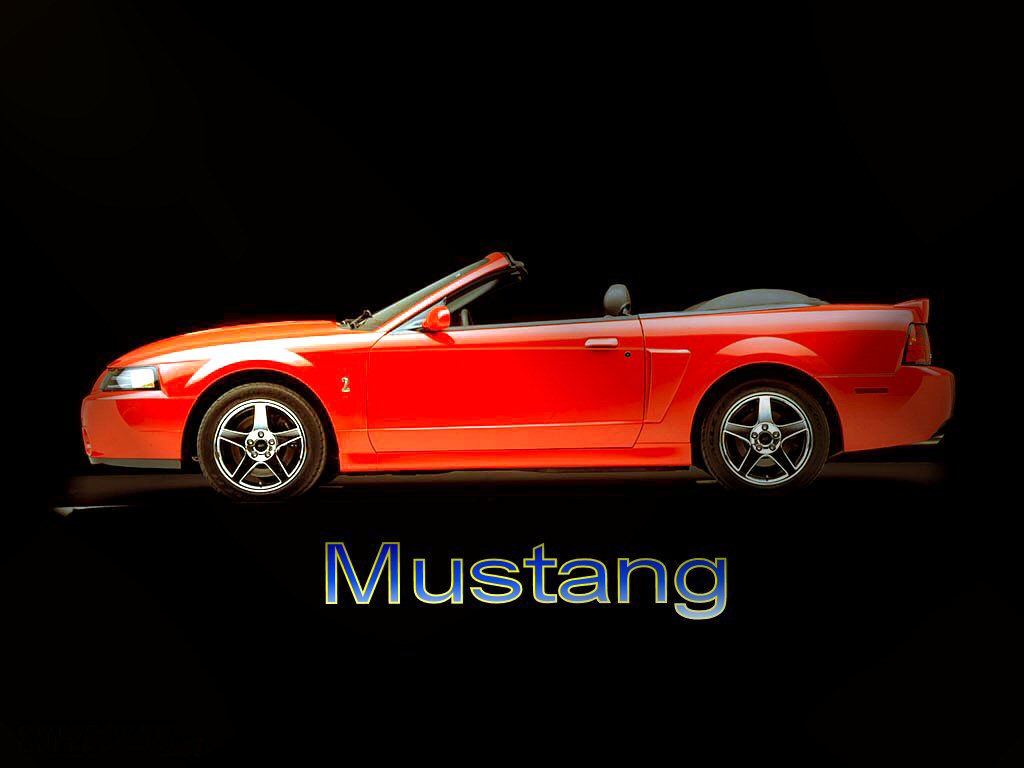 Fonds d'cran Voitures Mustang 