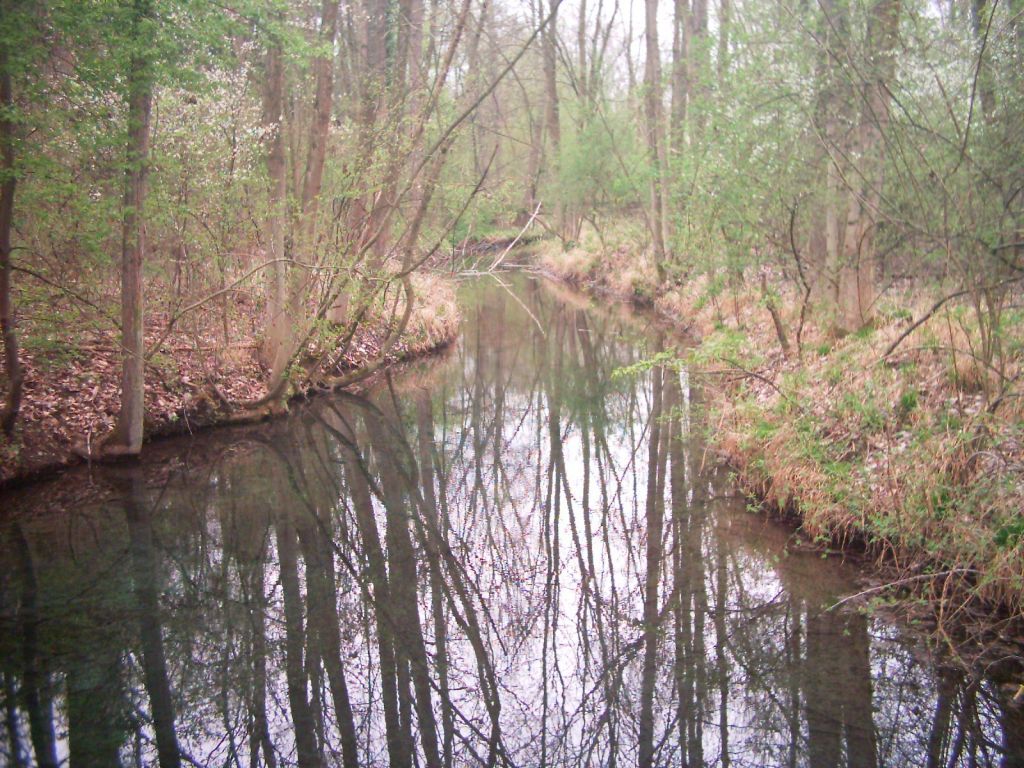 Fonds d'cran Nature Paysages 