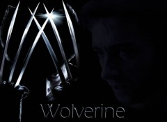 Fonds d'cran Cinma Wolverine