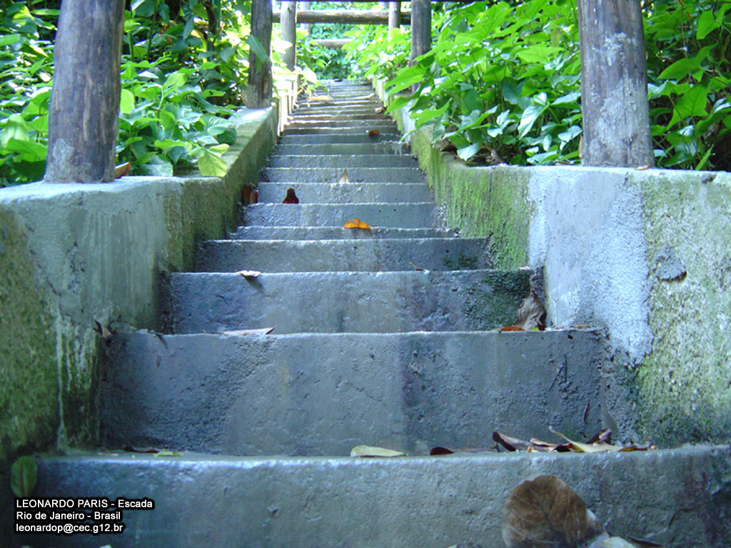 Wallpapers Trips : South America Brazil Stairs