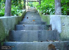 Fonds d'cran Voyages : Amrique du sud Stairs