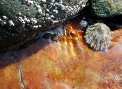 Fonds d'cran Nature sur le quartz