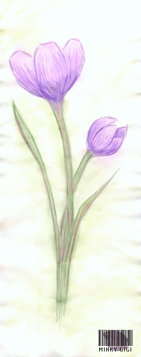 Fonds d'cran Art - Peinture Fleurs Crocus