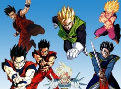 Fonds d'cran Manga Gohan