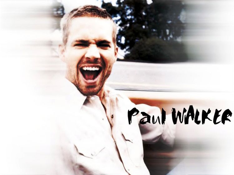 Fonds d'cran Clbrits Homme Paul Walker Wallpaper N22808