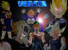 Fonds d'cran Manga Vegeta