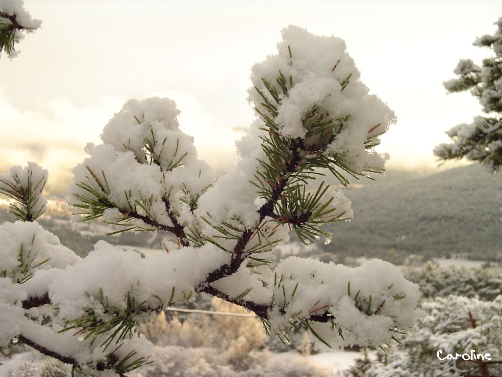 Wallpapers Nature Saisons - Winter 