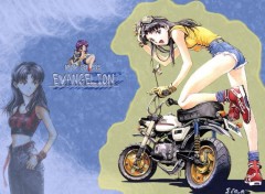 Wallpapers Cartoons Misato