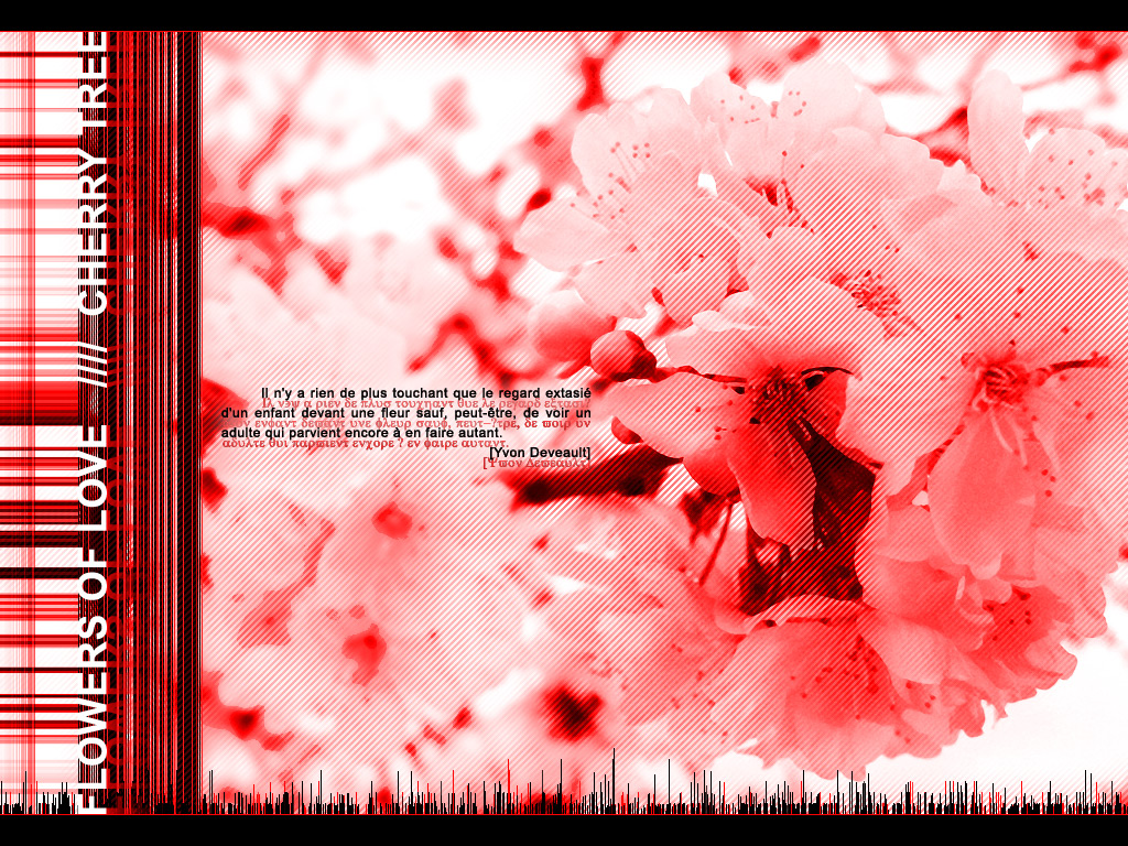 Wallpapers Digital Art Love - Friendship Flowers Of love //// Cherry Tree