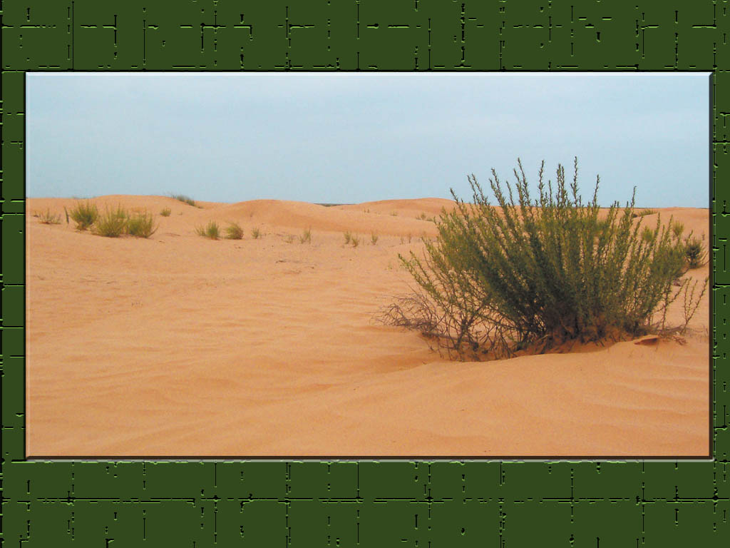 Fonds d'cran Voyages : Afrique Tunisie DESERT