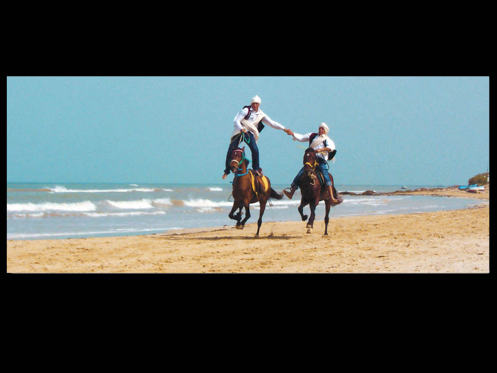 Wallpapers Animals Horses chevaux en tunisie