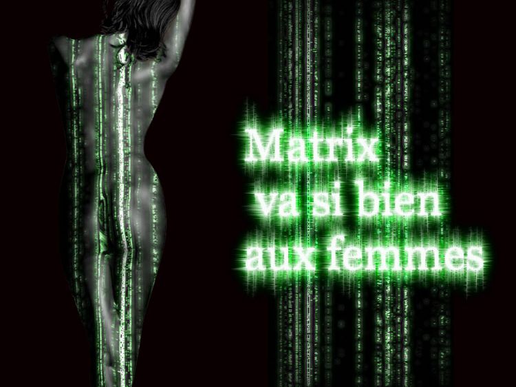 Wallpapers Humor Parodies matrix