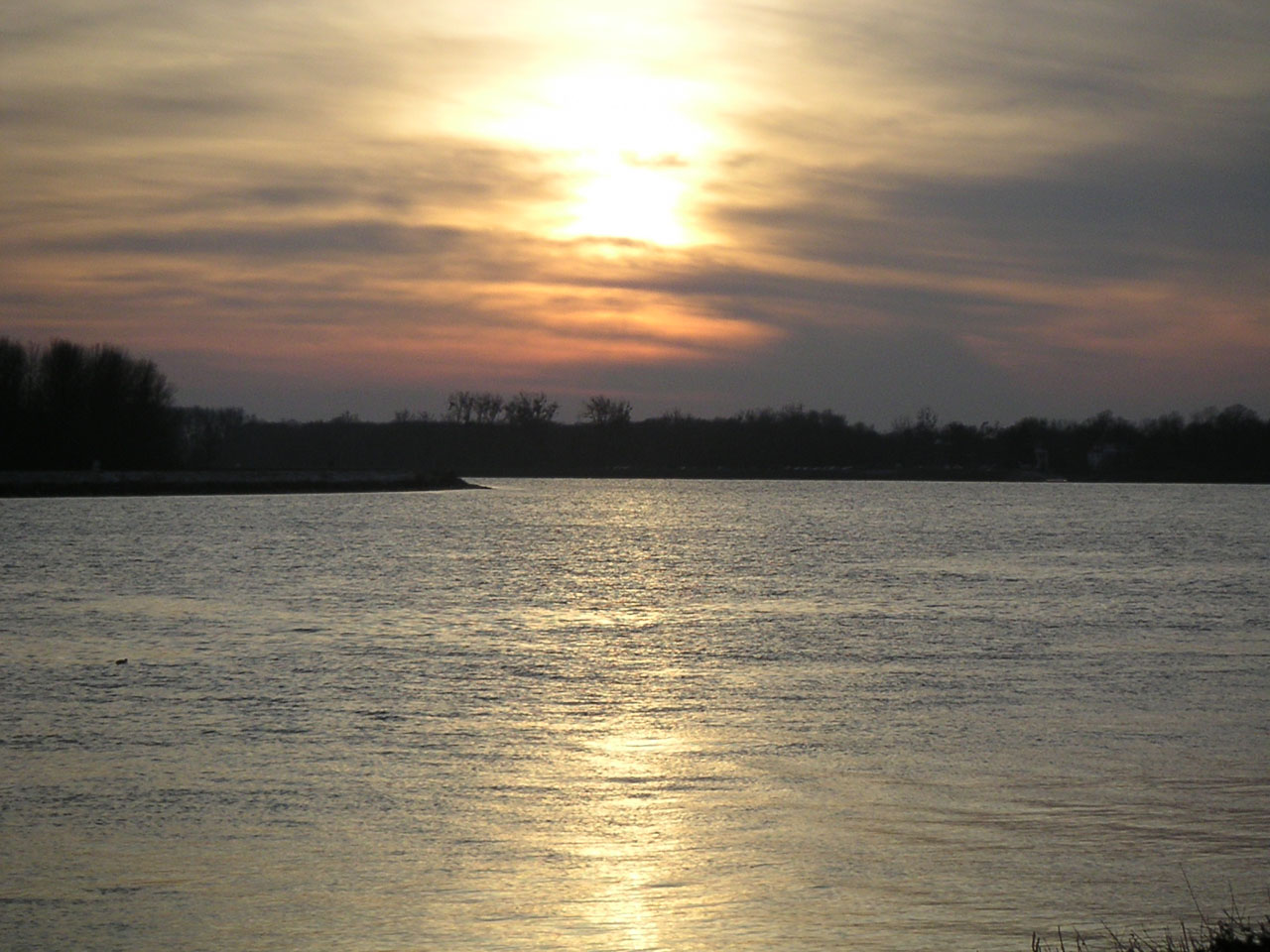 Wallpapers Nature Rivers - Torrents Le Rhin  Drusenheim