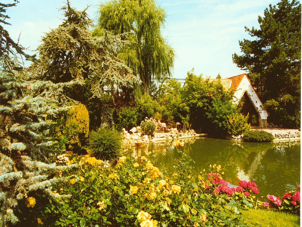 Fonds d'cran Nature Parcs - Jardins 