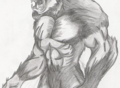 Fonds d'cran Art - Crayon Lycanthrope