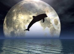 Wallpapers Digital Art Dolphin and the moonlight...