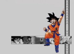 Fonds d'cran Manga goku