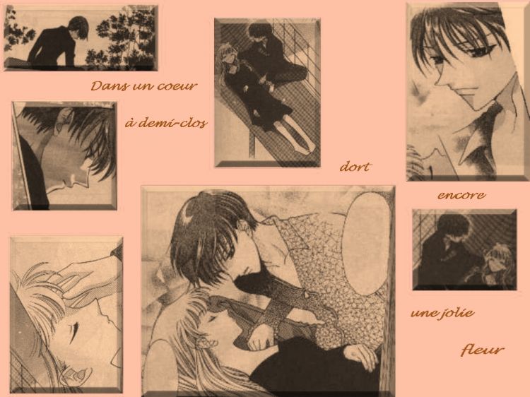 Fonds d'cran Manga Fruits Basket Kyo et Tohru