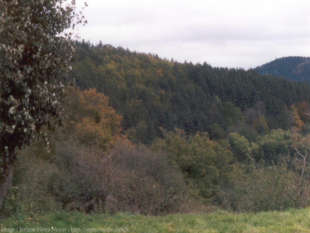 Fonds d'cran Nature Paysages auvergne