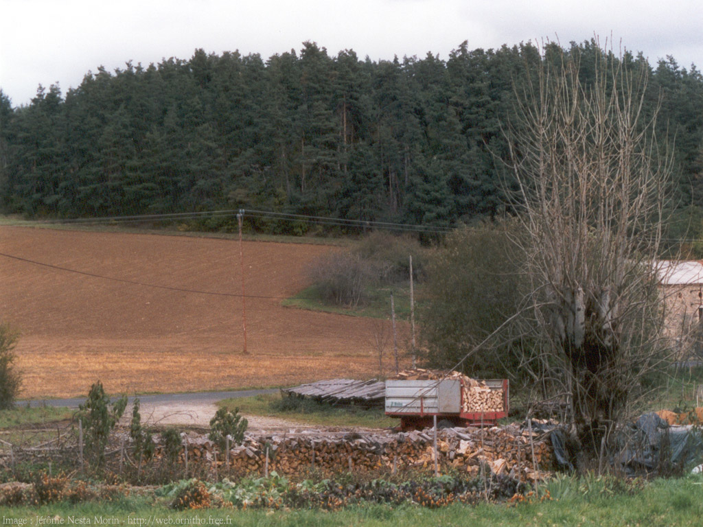 Fonds d'cran Nature Paysages Auvergne