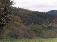 Fonds d'cran Nature auvergne