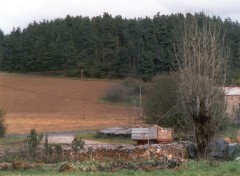 Fonds d'cran Nature Auvergne