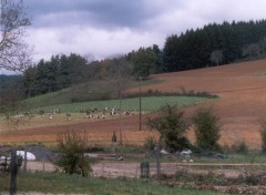 Fonds d'cran Nature Auvergne