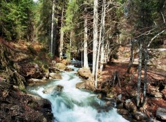 Fonds d'cran Nature Riviere des Alpes (Haute-Savoie)