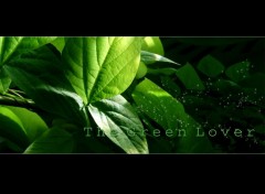 Fonds d'cran Art - Numrique The Green Lover Part.2