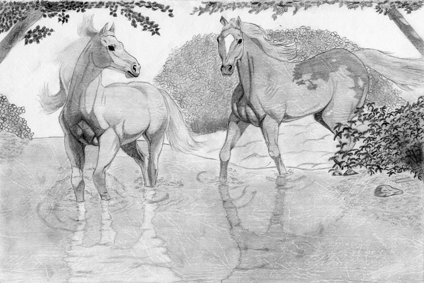 Wallpapers Art - Pencil Animals - Horses La conqute