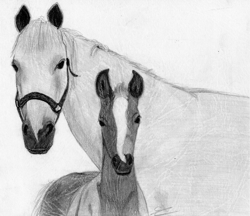 Wallpapers Art - Pencil Animals - Horses Un de mes premiers dessins