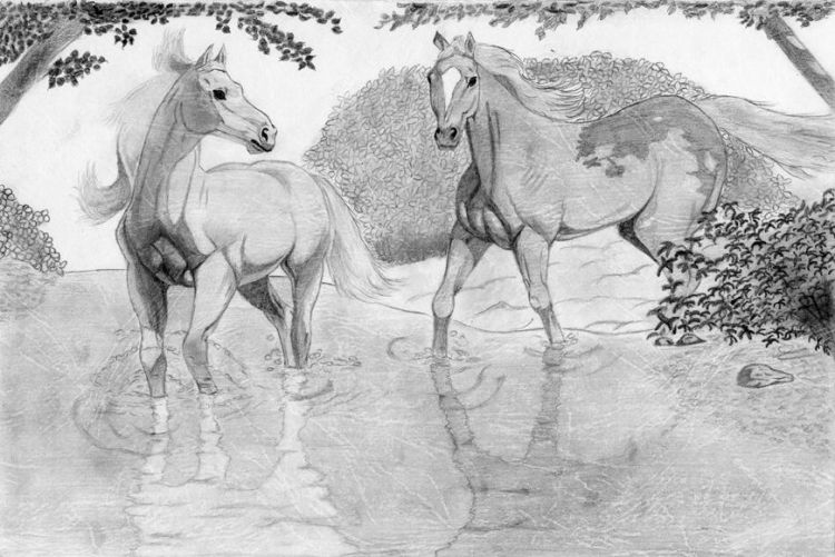 Fonds d'cran Art - Crayon Animaux - Chevaux La conqute