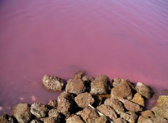 Fonds d'cran Nature Le Lac Rose, Sngal