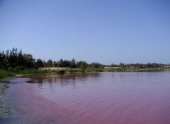 Fonds d'cran Nature Le Lac Rose, Sngal