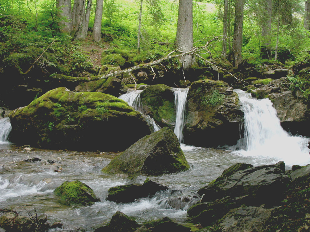 Fonds d'cran Nature Fleuves - Rivires - Torrents fraicheur