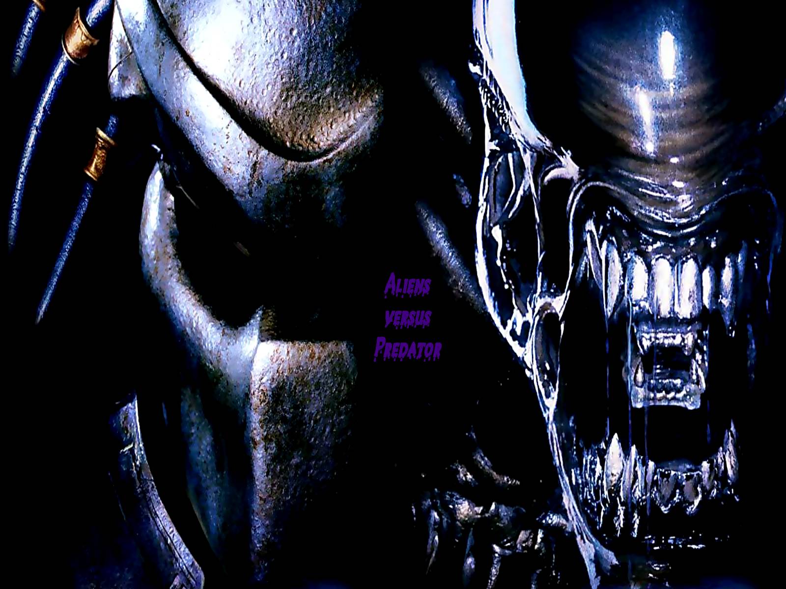 Fonds d'cran Cinma Alien vs Predator AvP_3