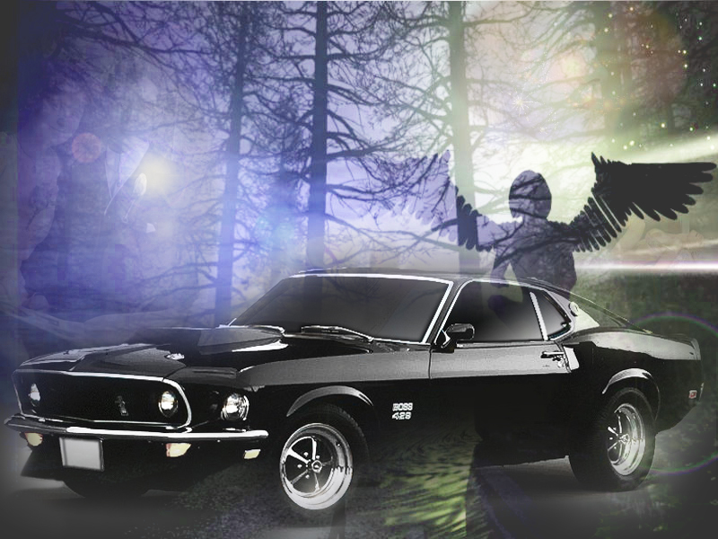 Wallpapers Cars Mustang foret mustang