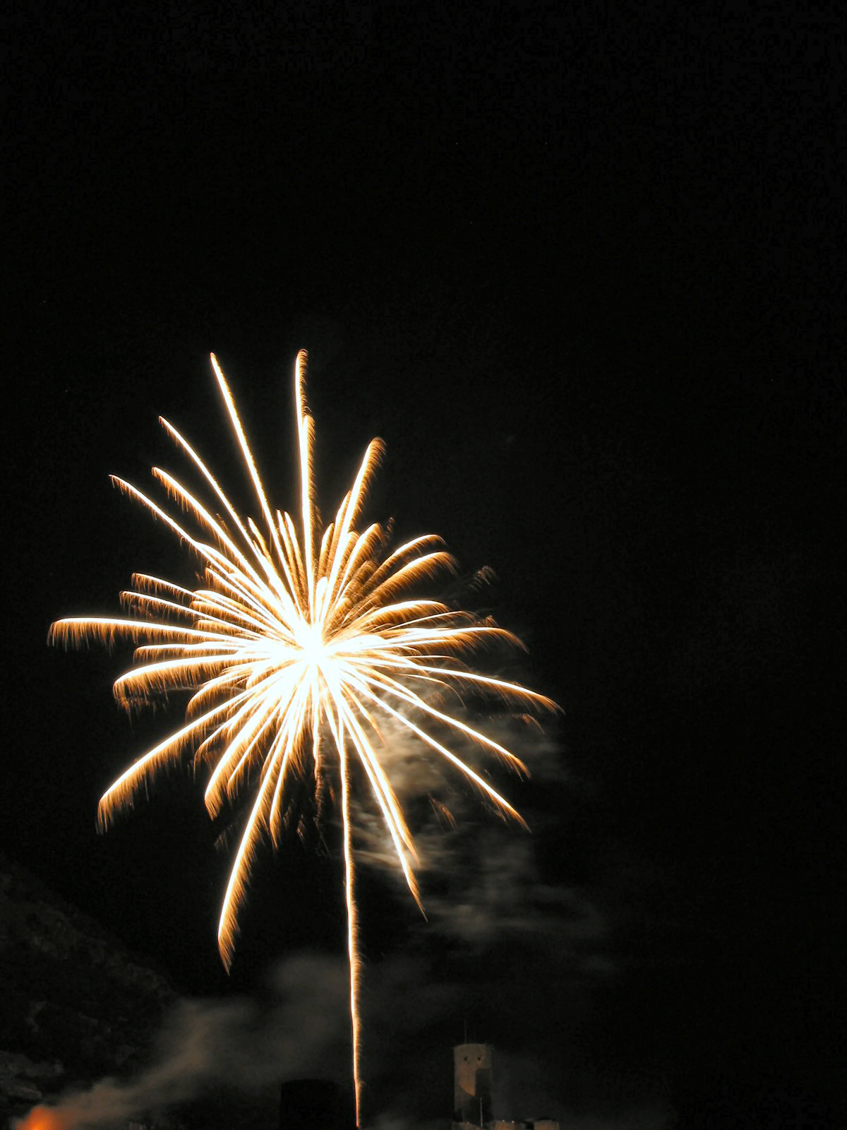 Fonds d'cran Hommes - Evnements Feux d'Artifice Fte Nationale Suisse - 1er aot 2003