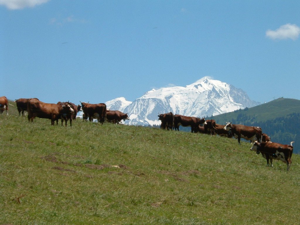 Fonds d'cran Nature Montagnes Les Aravis