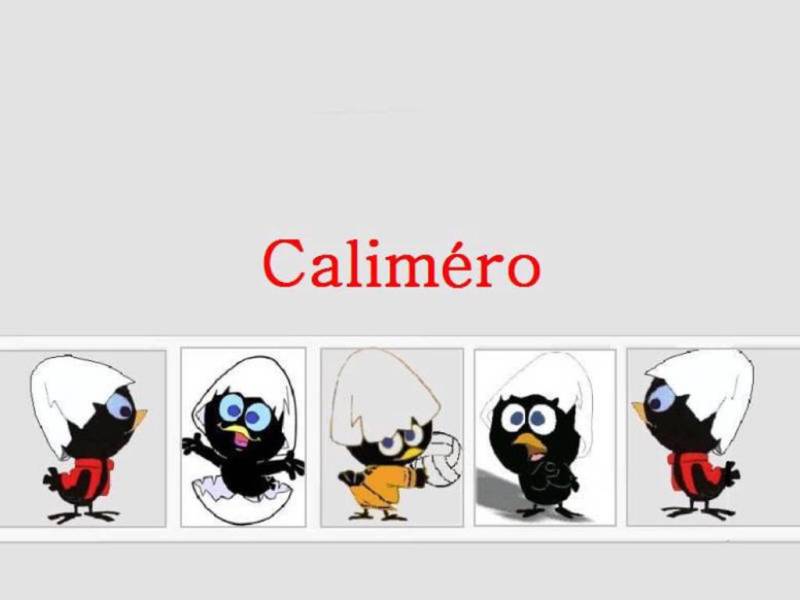 Wallpapers Cartoons Calimero Calimro