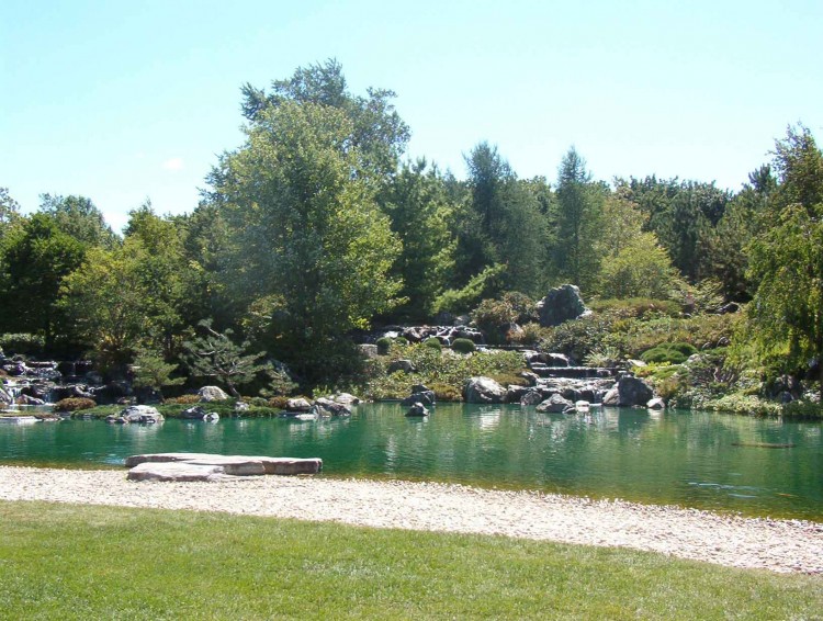 Fonds d'cran Nature Parcs - Jardins JArdin Botanique 6