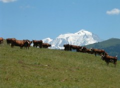 Fonds d'cran Nature Les Aravis