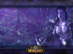 Wallpapers Video Games WOW Nightelf