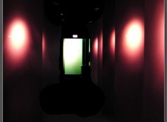 Photos Abstrait - Art Green Exit