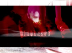 Fonds d'cran Jeux Vido BIOHAZARD 4